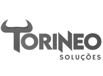 torineo